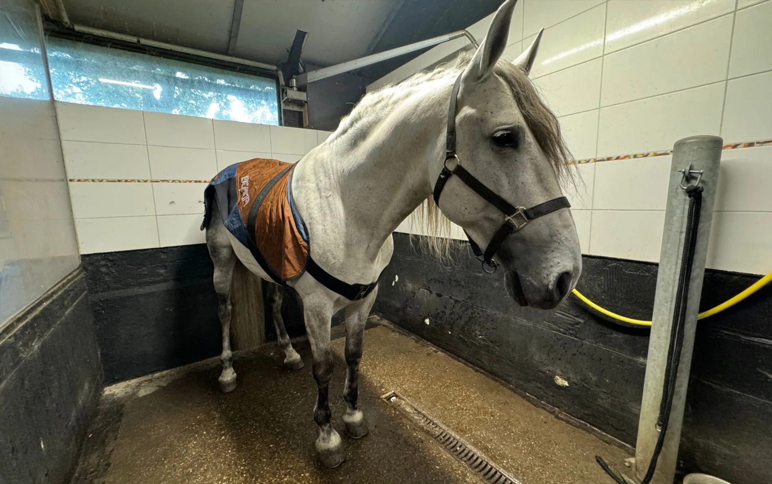 Diensten - BEMER deken