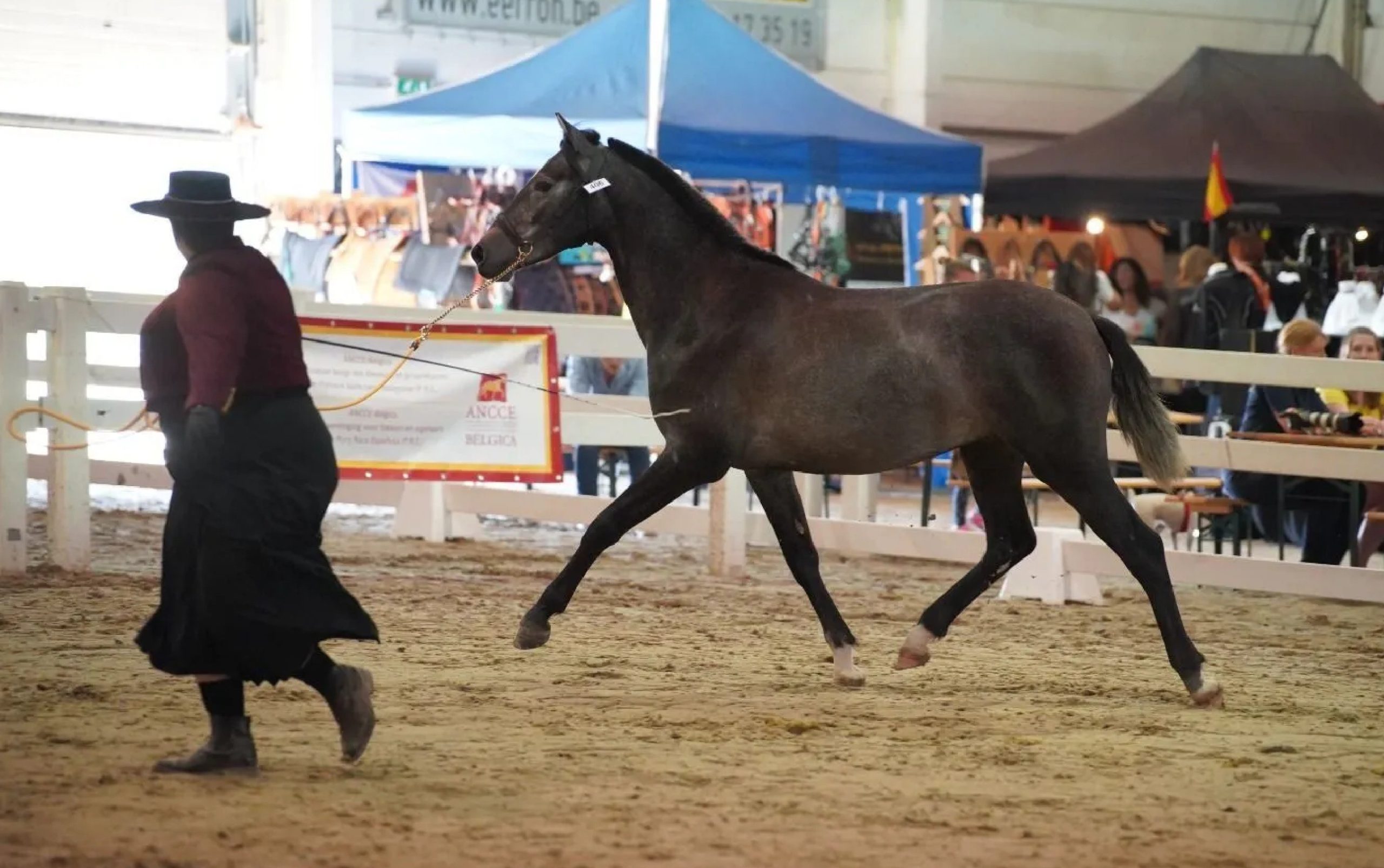 Diensten - keuringswedstrijd
