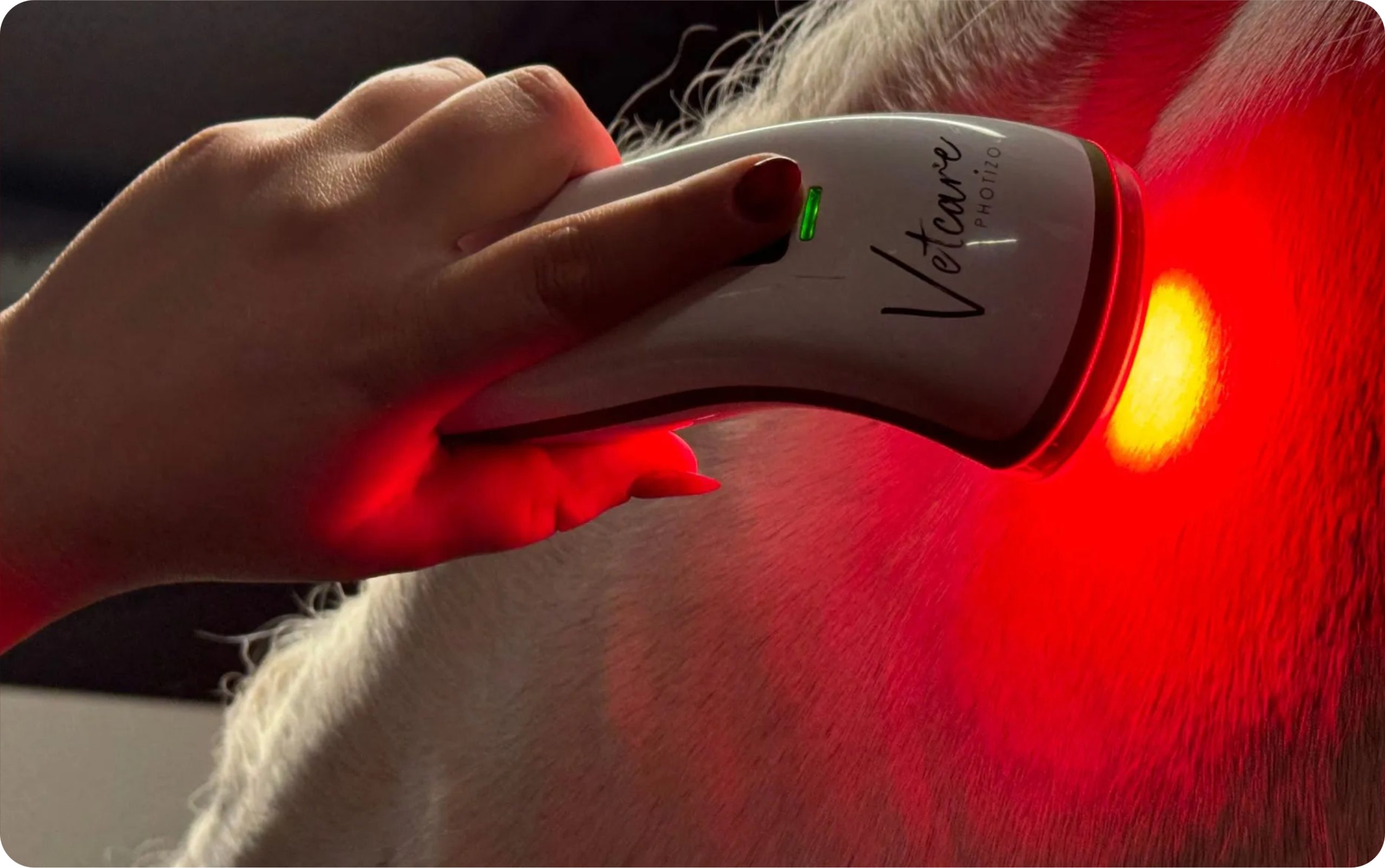 Diensten - rood lichttherapie
