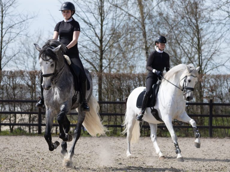 9b431b0f-5a6d-4b4c-a671-7b02e21ad21a