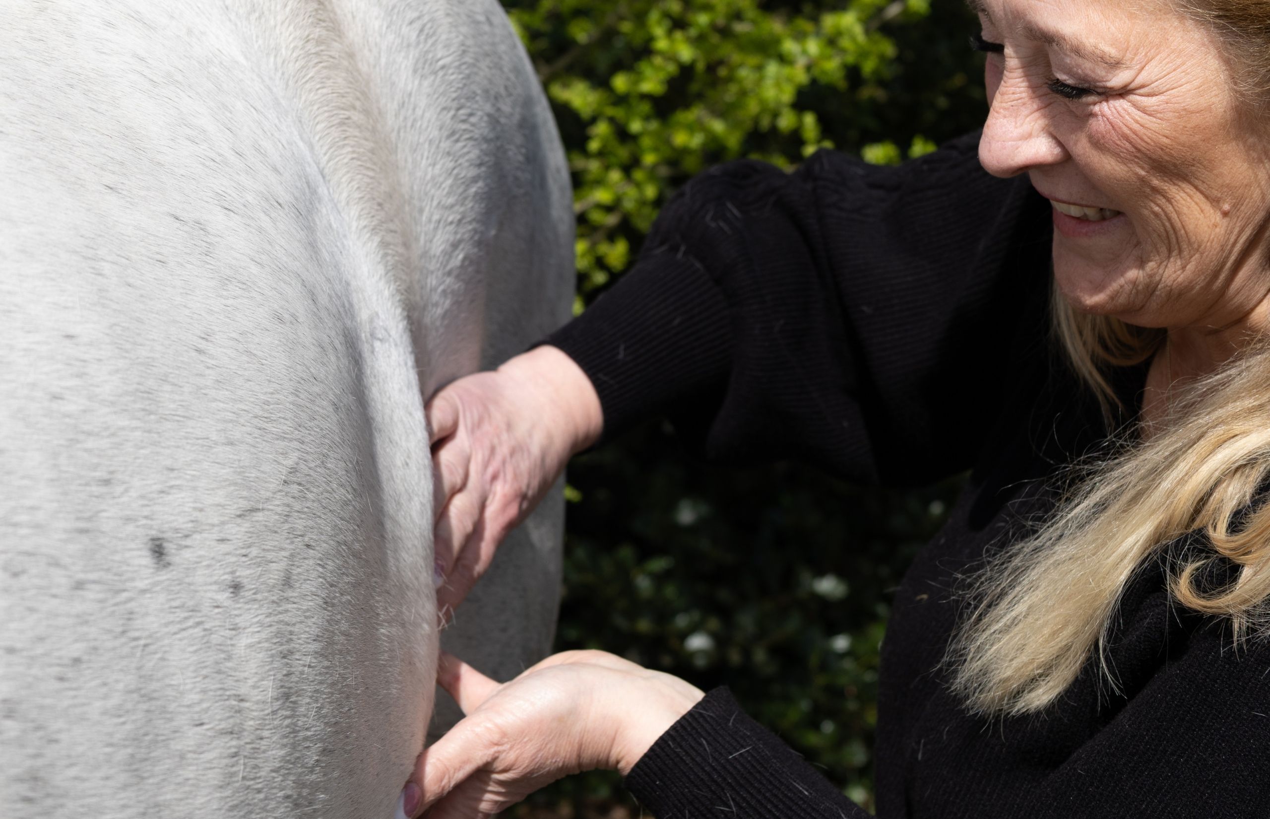 Diensten - Energetisch therapeut